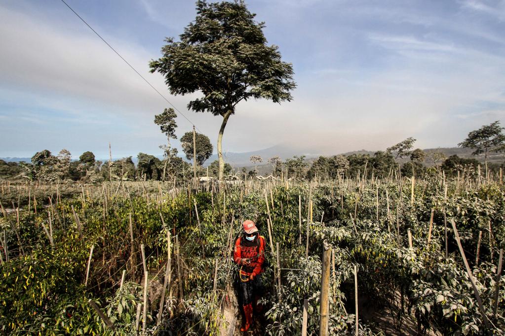 印度尼西亞：默拉皮火山持續噴發