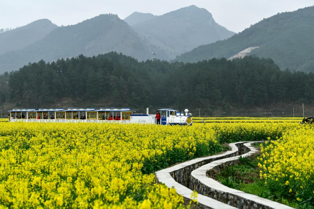 貴州貴定：“農旅融合”助力鄉村振興