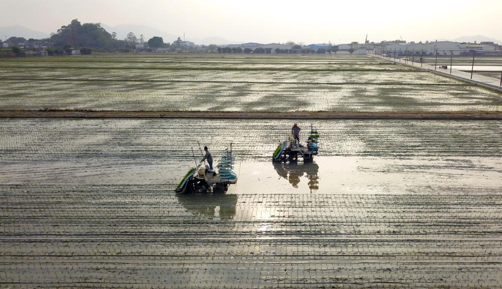 廣東江門：科技農機助力春耕生產