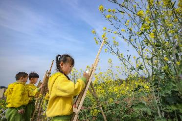 萌娃花海畫菜花