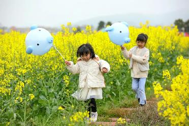 踏青賞花 樂享春光