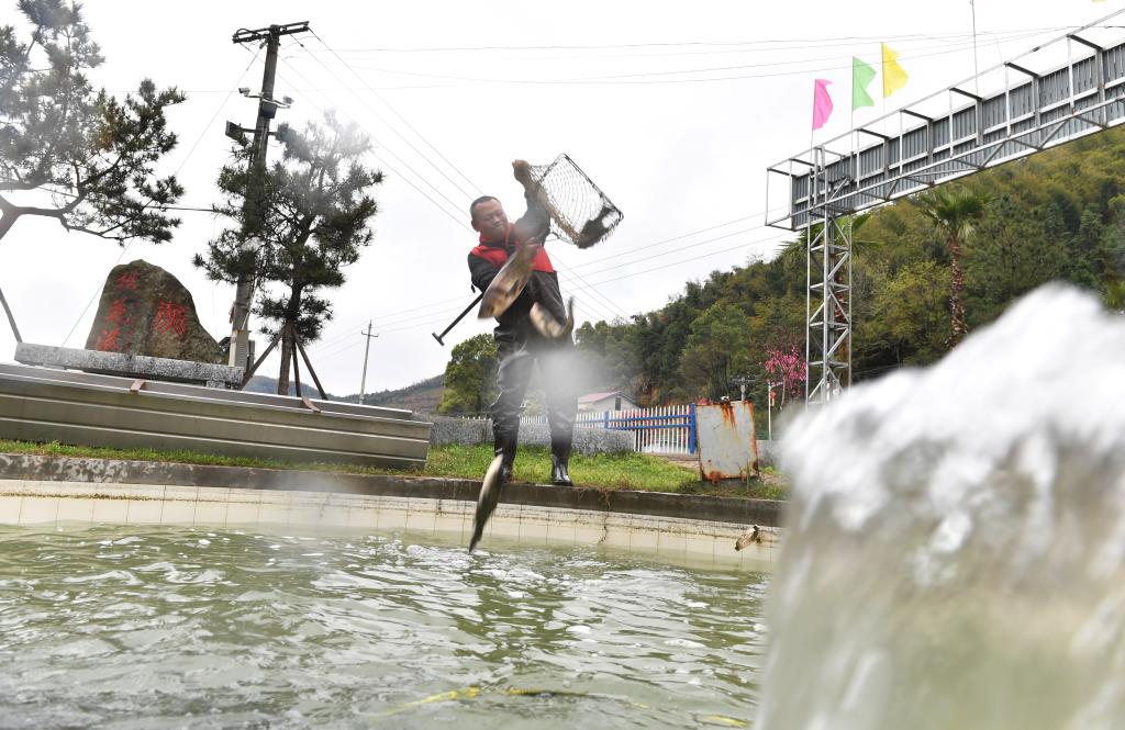 湖南衡山：泉水魚養殖帶動村民增收