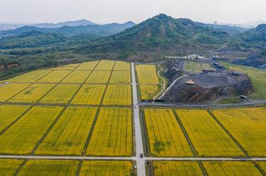 浙江德清：綠水青山涵養生態經濟